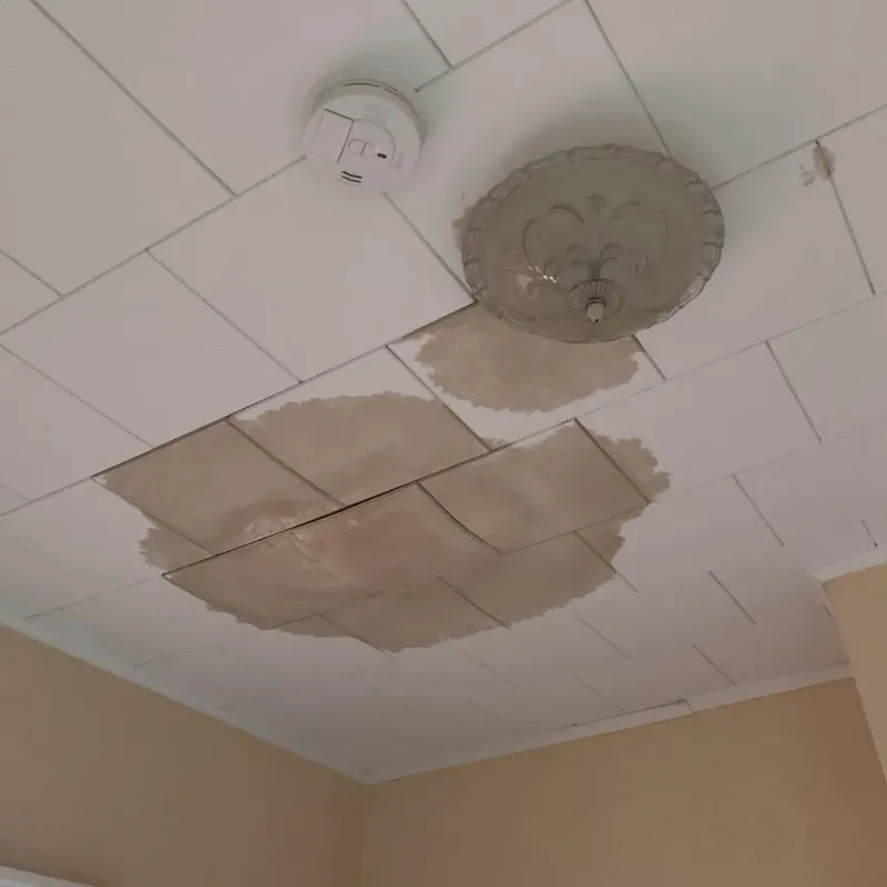 Ceiling Water Damage Repair in Schoeneck, PA