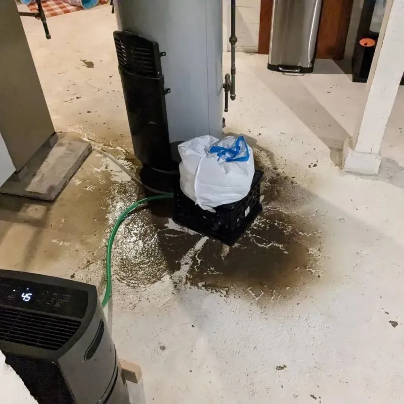 Sewage Backup Cleanup Service in Schoeneck, PA